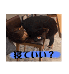 白目シスターズ（個別スタンプ：4）