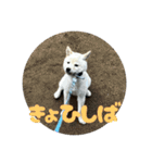 RaIchi417（個別スタンプ：2）