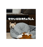 RaIchi417（個別スタンプ：6）