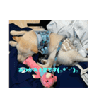 RaIchi417（個別スタンプ：10）