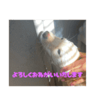 RaIchi417（個別スタンプ：11）