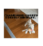 RaIchi417（個別スタンプ：13）