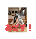 衣替えって知ってる？（個別スタンプ：36）