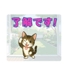 【探しやすい】りんのデカ文字スタンプ（個別スタンプ：7）