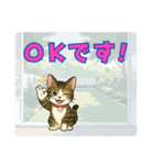 【探しやすい】りんのデカ文字スタンプ（個別スタンプ：8）