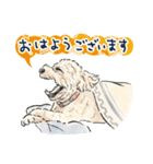 【敬語】犬好き集合！かわいいワンちゃんズ（個別スタンプ：1）
