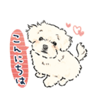 【敬語】犬好き集合！かわいいワンちゃんズ（個別スタンプ：2）