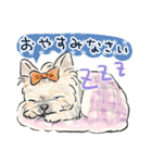 【敬語】犬好き集合！かわいいワンちゃんズ（個別スタンプ：4）