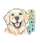 【敬語】犬好き集合！かわいいワンちゃんズ（個別スタンプ：5）