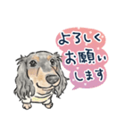 【敬語】犬好き集合！かわいいワンちゃんズ（個別スタンプ：7）