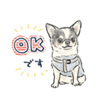 【敬語】犬好き集合！かわいいワンちゃんズ（個別スタンプ：8）
