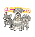 【敬語】犬好き集合！かわいいワンちゃんズ（個別スタンプ：9）