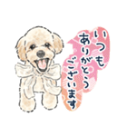 【敬語】犬好き集合！かわいいワンちゃんズ（個別スタンプ：10）