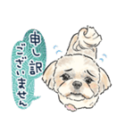 【敬語】犬好き集合！かわいいワンちゃんズ（個別スタンプ：12）