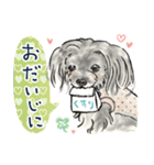 【敬語】犬好き集合！かわいいワンちゃんズ（個別スタンプ：14）