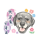 【敬語】犬好き集合！かわいいワンちゃんズ（個別スタンプ：16）