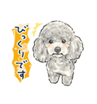 【敬語】犬好き集合！かわいいワンちゃんズ（個別スタンプ：18）