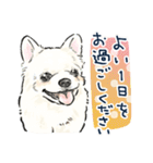 【敬語】犬好き集合！かわいいワンちゃんズ（個別スタンプ：20）