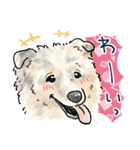 【敬語】犬好き集合！かわいいワンちゃんズ（個別スタンプ：22）