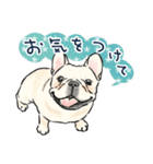 【敬語】犬好き集合！かわいいワンちゃんズ（個別スタンプ：23）