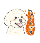 【敬語】犬好き集合！かわいいワンちゃんズ（個別スタンプ：24）