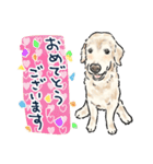 【敬語】犬好き集合！かわいいワンちゃんズ（個別スタンプ：26）