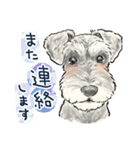 【敬語】犬好き集合！かわいいワンちゃんズ（個別スタンプ：27）