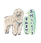 【敬語】犬好き集合！かわいいワンちゃんズ（個別スタンプ：30）