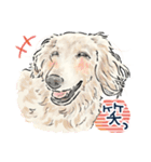 【敬語】犬好き集合！かわいいワンちゃんズ（個別スタンプ：31）