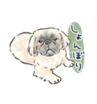 【敬語】犬好き集合！かわいいワンちゃんズ（個別スタンプ：32）