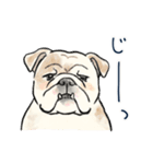 【敬語】犬好き集合！かわいいワンちゃんズ（個別スタンプ：33）