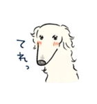 【敬語】犬好き集合！かわいいワンちゃんズ（個別スタンプ：34）