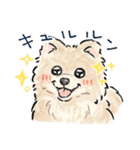 【敬語】犬好き集合！かわいいワンちゃんズ（個別スタンプ：35）