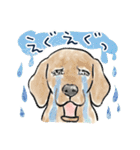 【敬語】犬好き集合！かわいいワンちゃんズ（個別スタンプ：38）
