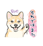 【敬語】犬好き集合！かわいいワンちゃんズ（個別スタンプ：40）