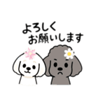 マルチーズ＆トイプードルのLINEスタンプ（個別スタンプ：2）