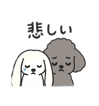 マルチーズ＆トイプードルのLINEスタンプ（個別スタンプ：6）