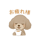 マルチーズ＆トイプードルのLINEスタンプ（個別スタンプ：9）