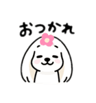 マルチーズ＆トイプードルのLINEスタンプ（個別スタンプ：10）