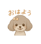 マルチーズ＆トイプードルのLINEスタンプ（個別スタンプ：11）