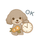 マルチーズ＆トイプードルのLINEスタンプ（個別スタンプ：13）