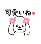 マルチーズ＆トイプードルのLINEスタンプ（個別スタンプ：14）
