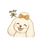 マルチーズ＆トイプードルのLINEスタンプ（個別スタンプ：23）