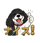 我が家の癒しアメコカのチョコ＆リント（個別スタンプ：2）