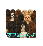 我が家の癒しアメコカのチョコ＆リント（個別スタンプ：12）