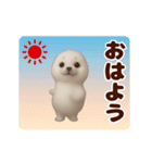 踊る！ゴマフアザラシの赤ちゃん（個別スタンプ：1）