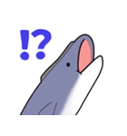 ジュゴンとコバンザメの使いやすいスタンプ（個別スタンプ：7）