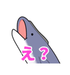 ジュゴンとコバンザメの使いやすいスタンプ（個別スタンプ：13）