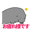 ジュゴンとコバンザメの使いやすいスタンプ（個別スタンプ：14）