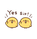 にわとりぴよこの英語（個別スタンプ：7）